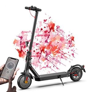 E Scooter mit Straßenzulassung bis 120kg