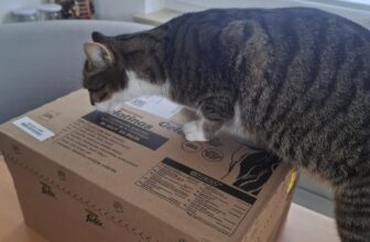 FELIX Sensations Gelees Katzenfutter nass in Gelee