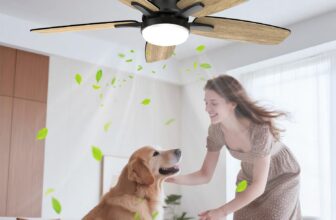 Airwit 106 cm Deckenventilator mit Beleuchtung und Fernbedienung