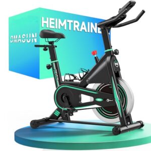 [2026 Aktualisiert] Heimtrainer Fahrrad, DMASUN Leiser Ergometer Hometrainer Fahrrad mit 0-100% Widerstand, Display& Tablet-Halterung, Kardio Training Indoor Cycling Bike mit bequemem Sitz, Bis 160KG, 159.98