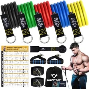 , Resistance Bands Widerstandsbänder Set, 5 Fitnessbänder Expander Tube Bands, Fitnessband mit Großem Griff Knöchelriemen Türankerbefestigung Tragtasche, Ideal für Pilates Krafttraining