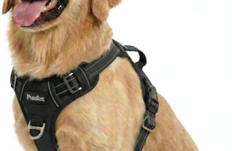 Hundegeschirr Mittelgroße Hunde