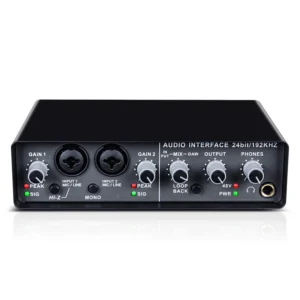 Q-24 Computer-Soundkarte Externes USB-Audio-Interface 24 Bit/192 kHz 2 Eingänge 4 Ausgänge Soundkarte mit 48V Phantomspe