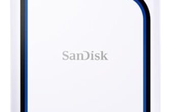 SANDISK Extreme Portable SSD für PS5 1 TB – bis zu 1.000 MB/s Lesen – Weiß
