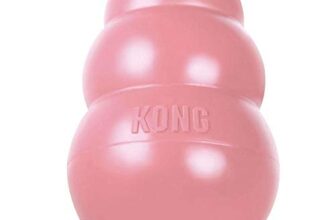 Kong Puppy Kong Hundespielzeug, Medium Breeds, Größe M
