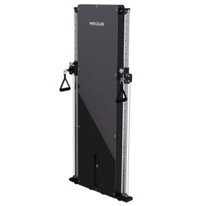 MAXXUS Kabelzugstation SmartGym H8 – Wandmontage, Platzsparend, mit Gewichtsblock, Alu, Stahl – Seilzug, Kabelzug, Homegym Fitness Station, Kabelzugturm, Kraftstation für Zuhause