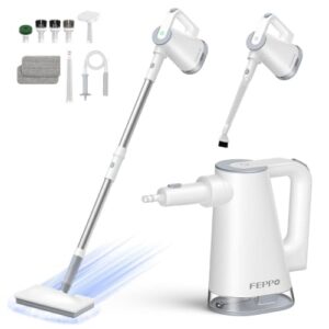 FEPPO Dampfreiniger 12-in-1 mit abnehmbarem Handdampfreinigerad