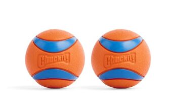 Chuckit! Ultra Ball Medium 1er Pack (2 Bälle) Multicolor