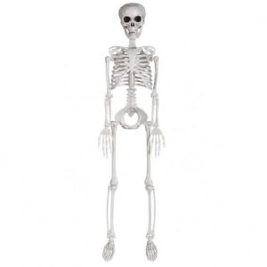 90cm Halloween Skelett Plastik Ganzkörper Skelett mit beweglichen Gelenken für halloween deko skelett lebensgroß, halloween deko outdoor für Haus, Garten, Terrasse und Spukhaus Dekorationen (1Stück)