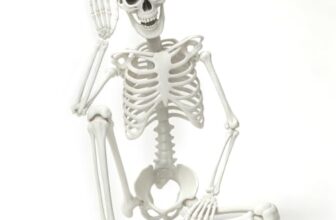 FUDUOXIAO 90cm Halloween Skelett Plastik Ganzkörper Skelett mit beweglichen Gelenken für Halloween Haus Garten Haus Terrasse Dekorationen
