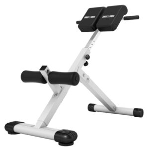 GORILLA SPORTS® Hyperextension Rückentrainer, 5-fach, klappbar, 120 kg