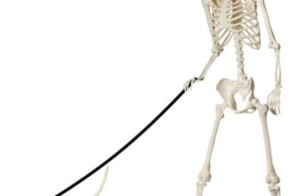165cm Lebensgroßes Posierbares Halloween Skelett, Realistische Skelettknochen mit Beweglichen Gelenken & Hundeskelett – Deko für Outdoor Halloween, Gruselhaus, Friedhofsszenen, Horror-Themenpartys