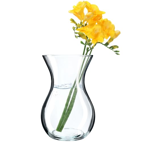 KADAX Blumenvase, 18cm Vase aus Glas, ⌀8cm Glasblumenvase mit einem 11cm Hals, Durchsichtige Tischvase, Klarglasvase, Glasvase für Blumen, Dekovase für Wohnzimmer
