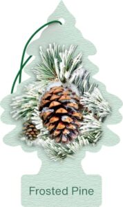 WUNDER-BAUM Auto-Lufterfrischer I Anhänger für langanhaltenden Duft im Auto oder zu Hause I Frosted Pine , 1 Stück
