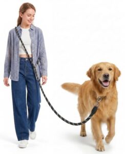 oneisall Hundeleine für Große & Mittelgroße Hund(15-60kg), 3m Verstellbare Doppelleine & Freihandleine aus Nylon mit Reflektierend durch die Extreme Kraft bis 200 kg