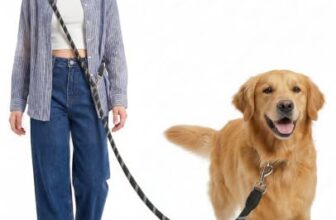 oneisall Hundeleine für Große & Mittelgroße Hund(15-60kg), 3m Verstellbare Doppelleine & Freihandleine aus Nylon mit Reflektierend durch die Extreme Kraft bis 200 kg