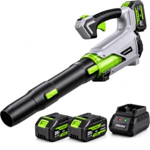 Akku Laubbläser 21V mit 2×4,0AH Akkus, 850m³/h Stufenlose Drehzahlregelung