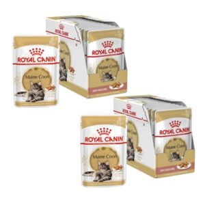 Royal Canin Maine Coon Adult | Doppelpack | 2 x 12 x 85 g | Nassfutter speziell auf die Bedürfnisse von Maine Coon Katzen abgestimmt | In Soße