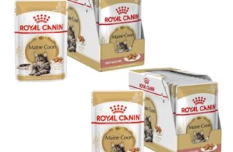 Royal Canin Maine Coon Adult | Doppelpack | 2 x 12 x 85 g | Nassfutter speziell auf die Bedürfnisse von Maine Coon Katzen abgestimmt | In Soße