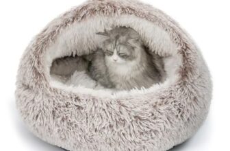 CATISM Katzenbett Waschbar Katzenschlafplatz für Katzen Plüsch Haustier Katzenkopfkissen Katzenkissen Flauschiges Kätzchen Welpen Kuschelbett Haustierbett Kaffeebraun