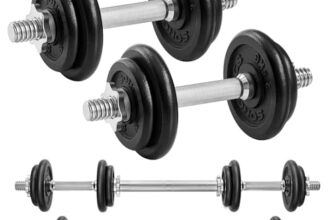 SONGMICS 2-in-1-Hanteln, 2 x 10 kg Hantelset aus Gusseisen, verstellbar, Kurzhantelset mit Verbindungsrohr, Workout, Gewichtheben für Zuhause, Fitnessstudio, tintenschwarz SYL20LBKV1