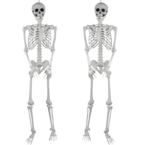 SIFOEL 2 Stück Halloween Kunststoff Skelette Realistische Lebensgröße menschliche Skelette mit beweglichen Gelenken für Halloween Spukhaus Dekoration im Freien