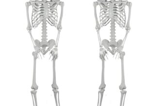 SIFOEL 2 Stück Halloween Kunststoff Skelette Realistische Lebensgröße menschliche Skelette mit beweglichen Gelenken für Halloween Spukhaus Dekoration im Freien