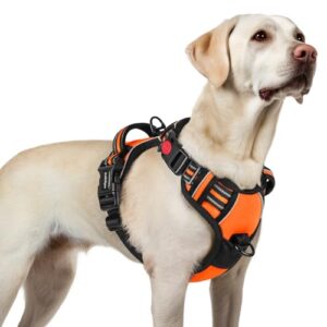 rabbitgoo Hundegeschirr Grosse Hunde Einfach Anlegen, L, Orange