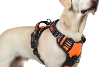 rabbitgoo Hundegeschirr Grosse Hunde Einfach Anlegen, L, Orange