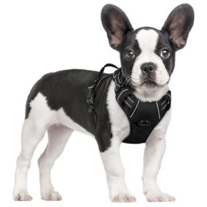rabbitgoo Hundegeschirr Mittelgroße Hunde Anti Zug mit Griff, S, Schwarz