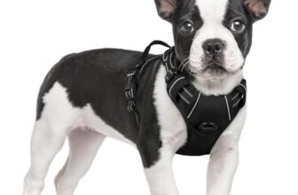 rabbitgoo Hundegeschirr Mittelgroße Hunde Anti Zug mit Griff, S, Schwarz