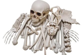 QUSTGO Halloween Skelett Deko Set mit Knochen, Totenkopf und Händen, Halloween Deko Outdoor