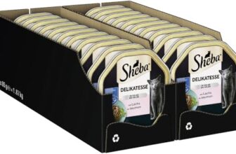 Sheba Schale Nassfutter für Katzen Delikatesse in Gelee mit Lachs 2 x 11 x 85g