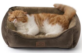 BEDSURE Katzenbett waschbar Katzen Bettchen 51x41cm