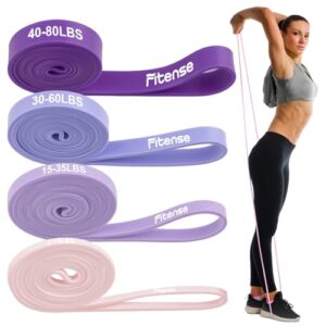 Fitense Resistance Bands, Widerstandsbänder Set 4 Stück, Widerstandsband Fitnessbänder mit Türanker, Fitnessband Trainingsbänder für Yoga, Pilates, Training, Physiotherapie,Klimmzughilfe,Krafttraining