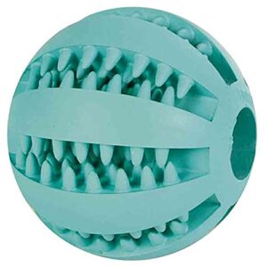 TRIXIE Hundespielzeug Denta Fun Ball, mit Minzgeschmack – ø 7 cm, türkis