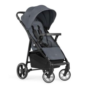 hauck Kinderbuggy mit Snack Ablage & Becherhalter, Shop N Care Grey