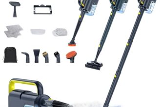 Dampfreiniger mit abnehmbarem Handdampfreiniger