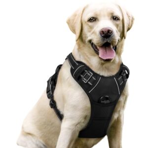 rabbitgoo Hundegeschirr Grosse Hunde Anti Zug mit Griff, L, Schwarz
