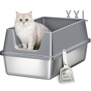 Fobyfurny Katzenklo Edelstahl, XXL Hoher Rand Katzentoilette, Dunkelgrau