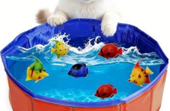 Katzen Pool Spielzeug mit Fischspielzeugen, faltbares Katzenspielzeug Wasser, interaktives Wasserspiel für Drinnen zur Langeweilebekämpfung, für Wohnung & Reise (Katzenpool + Fische)