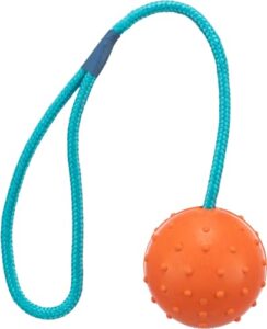 TRIXIE robustes Hundespielzeug Ball am Seil, zum Apportieren – 30 cm