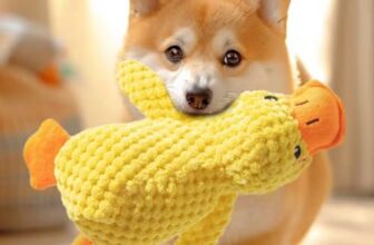 Speedy Panther Hundespielzeug aus Plüsch für kleine Hunde, Enten-Quietsch-Hundespielzeug, weiches Welpenspielzeug für kleine bis mittelgroße Hunde – 25 cm