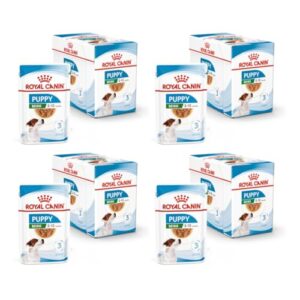 ROYAL CANIN Mini Puppy | 4er Pack | 4 x 12 x 85 g | Nassfutter für kleine Hundewelpen | Bis zum 10. Lebensmonat | Feine Stückchen in Soße | Weiche Textur für die Milchzähne