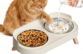 Katzennapf Erhöht – 2 Edelstahl Katzennäpfe mit Spritzschutz, Erhöhter Futternapf Katze, geeignet für Wohnungskatzen & kleine Hunde, Spülmaschinengeeignet, Weiß