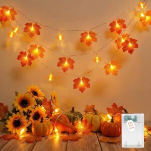 Herbst Lichterkette mit Timer, 3M 20LED Ahornblätter & Kürbis Herbstdeko
