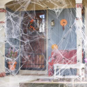 kiaitre Halloween Spinnennetz Deko, 200g mit 30 Spinnen