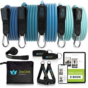 ZenOne Sports® Resistance Bands Set I Robuste Fitnessbänder in 5 Stärken I Widerstandsbänder für Krafttraining – Zuhause & Unterwegs I Trainingsbänder, Fitness-Bänder, Gummibänder Sport