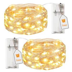 btfarm 2 Stück Lichterkette Batterie mit Timer, 2M 20LED Lichterkette Innen