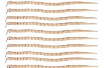VICASKY 10Stücke Holzschlangen Flexible Realistische Schlangen für Halloween Deko und Kreative Bastelideen für Jungen und Mädchen für Partys und